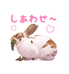 ぴすタンプ（個別スタンプ：23）