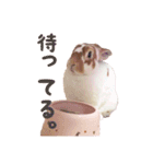 ぴすタンプ（個別スタンプ：25）