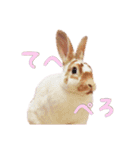 ぴすタンプ（個別スタンプ：27）