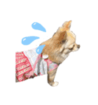 ロイシェリ（個別スタンプ：9）