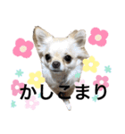 ロイシェリ（個別スタンプ：14）