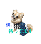 ロイシェリ（個別スタンプ：18）