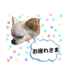 ロイシェリ（個別スタンプ：19）