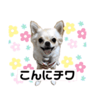 ロイシェリ（個別スタンプ：22）