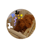 kingさん（個別スタンプ：2）