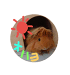 kingさん（個別スタンプ：3）