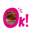 kingさん（個別スタンプ：4）