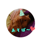 kingさん（個別スタンプ：6）