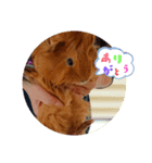 kingさん（個別スタンプ：7）