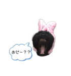 サンシティメンバー's（個別スタンプ：10）