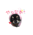 サンシティメンバー's（個別スタンプ：16）