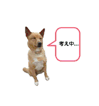 サンシティメンバー's（個別スタンプ：19）
