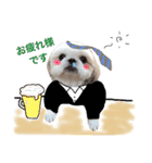 シーズー犬 みなみちゃん（個別スタンプ：6）
