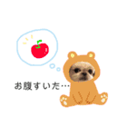 シーズー犬 みなみちゃん（個別スタンプ：14）