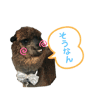 〜愛たっぷりの日常会話〜どうぶつ編④（個別スタンプ：4）