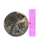 〜愛たっぷりの日常会話〜どうぶつ編④（個別スタンプ：9）