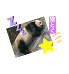 〜愛たっぷりの日常会話〜どうぶつ編④（個別スタンプ：14）