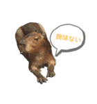 〜愛たっぷりの日常会話〜どうぶつ編④（個別スタンプ：18）