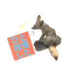 〜愛たっぷりの日常会話〜どうぶつ編④（個別スタンプ：21）