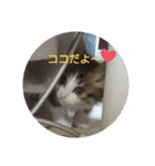 ココはここだよ（個別スタンプ：2）