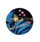 ココはここだよ（個別スタンプ：5）