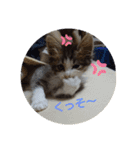 ココはここだよ（個別スタンプ：7）