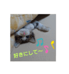ココはここだよ（個別スタンプ：9）