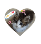 ココはここだよ（個別スタンプ：11）