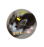 ココはここだよ（個別スタンプ：12）
