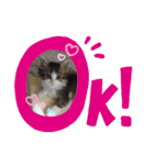 ココはここだよ（個別スタンプ：15）