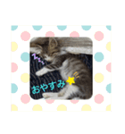 ココはここだよ（個別スタンプ：17）