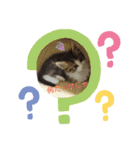 ココはここだよ（個別スタンプ：18）
