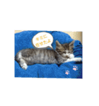 ココはここだよ（個別スタンプ：19）