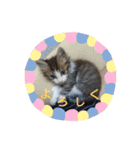 ココはここだよ（個別スタンプ：20）
