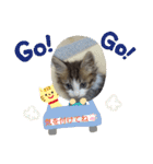 ココはここだよ（個別スタンプ：21）