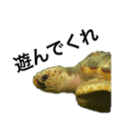 お魚の気持ち（個別スタンプ：4）