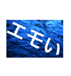 お魚の気持ち（個別スタンプ：7）
