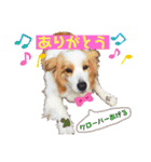 カリスたんぷ！（個別スタンプ：2）
