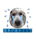 カリスたんぷ！（個別スタンプ：3）