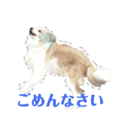 カリスたんぷ！（個別スタンプ：6）