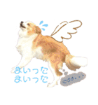 カリスたんぷ！（個別スタンプ：7）