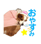 カリスたんぷ！（個別スタンプ：8）