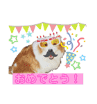 カリスたんぷ！（個別スタンプ：9）