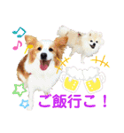 カリスたんぷ！（個別スタンプ：13）