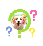 カリスたんぷ！（個別スタンプ：17）