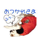 カリスたんぷ！（個別スタンプ：18）