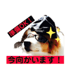 カリスたんぷ！（個別スタンプ：22）