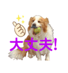 カリスたんぷ！（個別スタンプ：32）