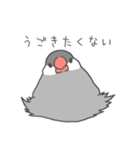 日々ぶんちょう 2（個別スタンプ：17）