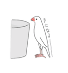 日々ぶんちょう 2（個別スタンプ：30）
